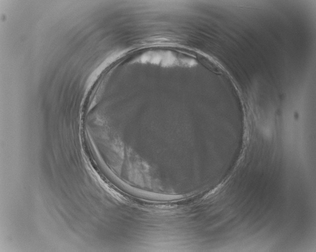 X0000051241333200507152113