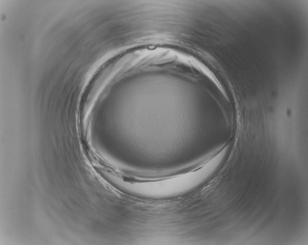 X0000051241334200507152113