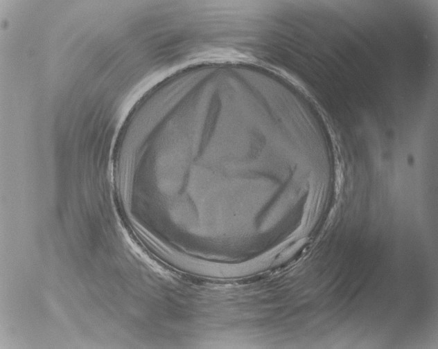 X0000051241335200507152113