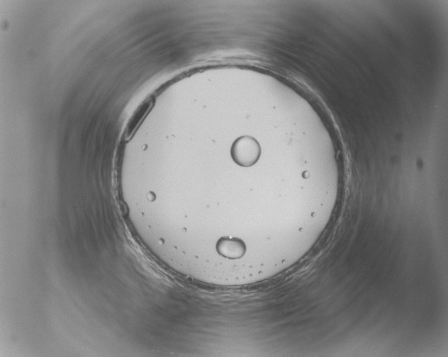 X0000051241336200507152113