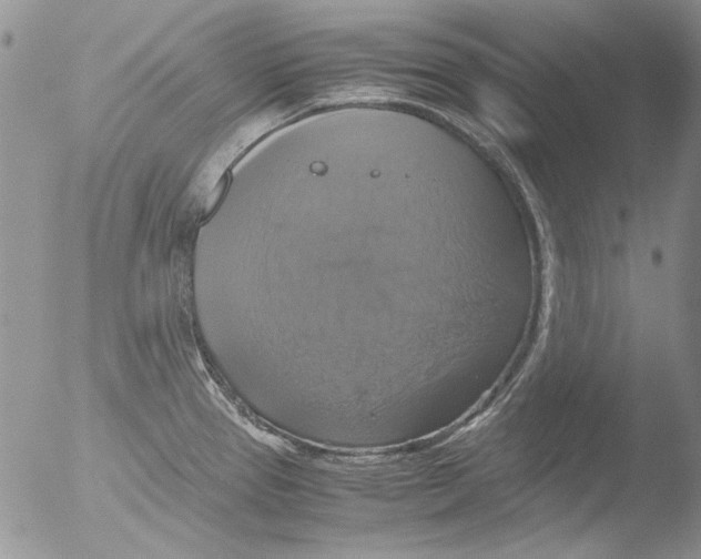 X0000051241337200507152113