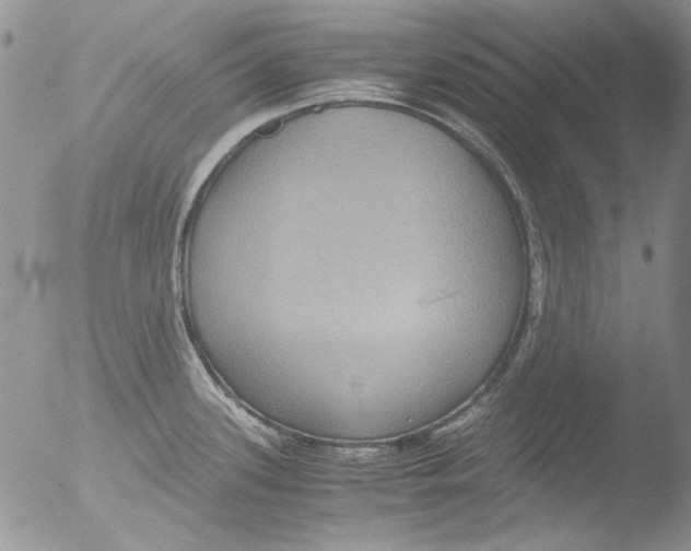 X0000051241339200507152113