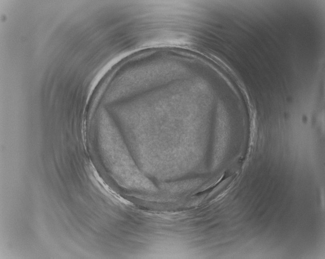 X0000051241340200507152113