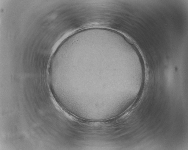 X0000051241341200507152113