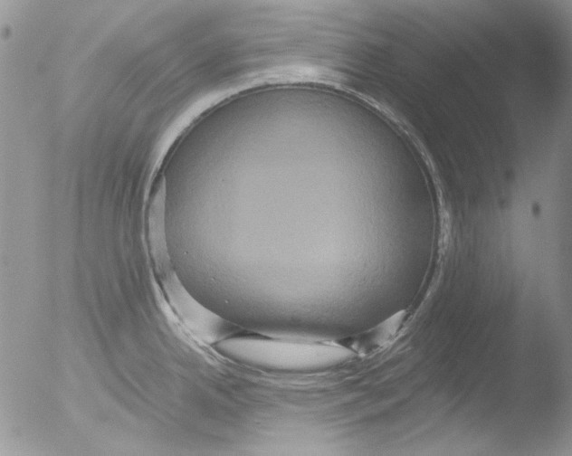 X0000051241342200507152113