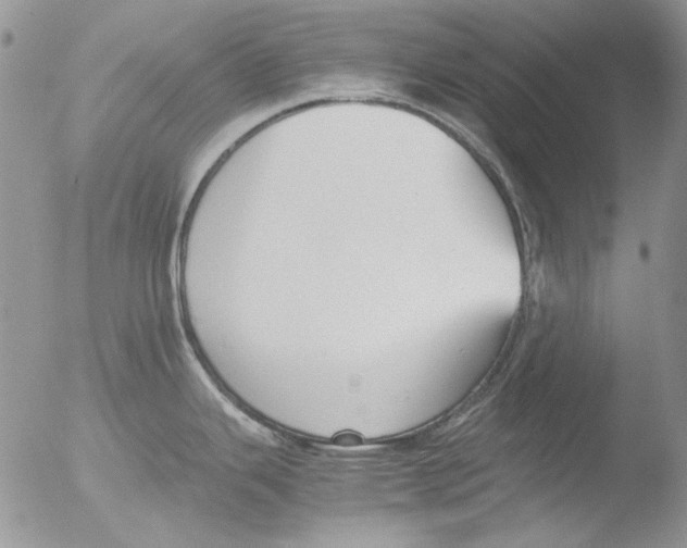 X0000051241343200507152113