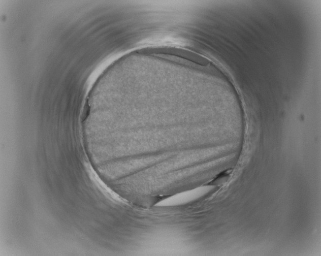 X0000051241344200507152113