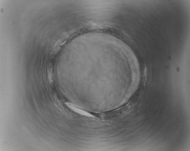 X0000051241348200507152113