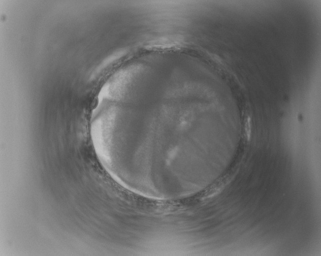 X0000051241350200507152113