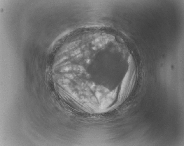 X0000051241351200507152113