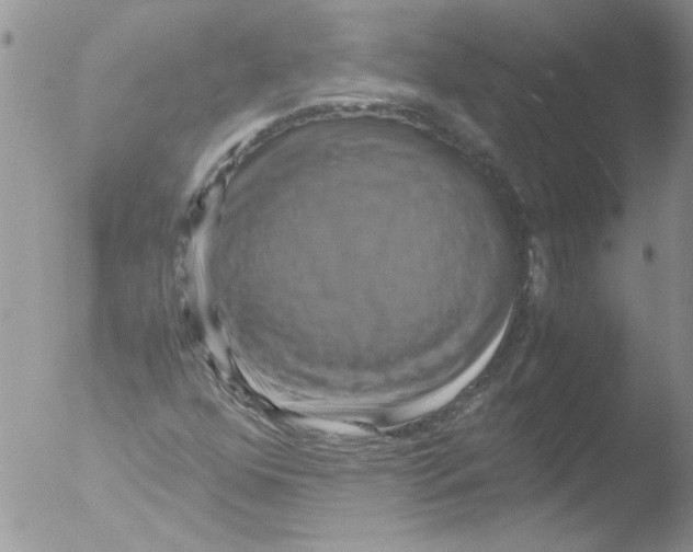 X0000051241352200507152112