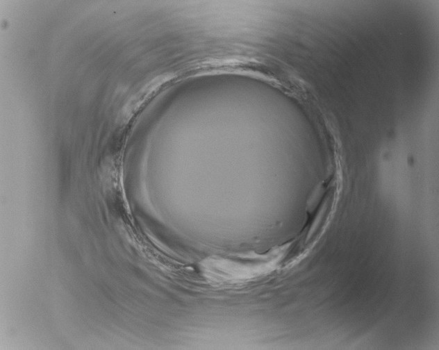 X0000051241353200507152112