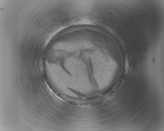 X0000051241356200507152112