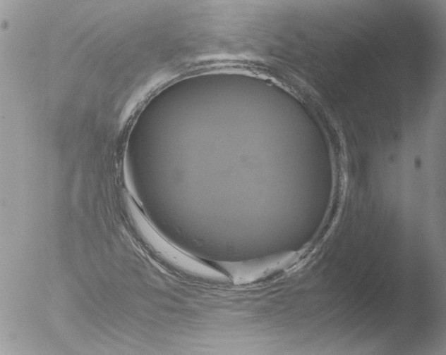 X0000051241357200507152112