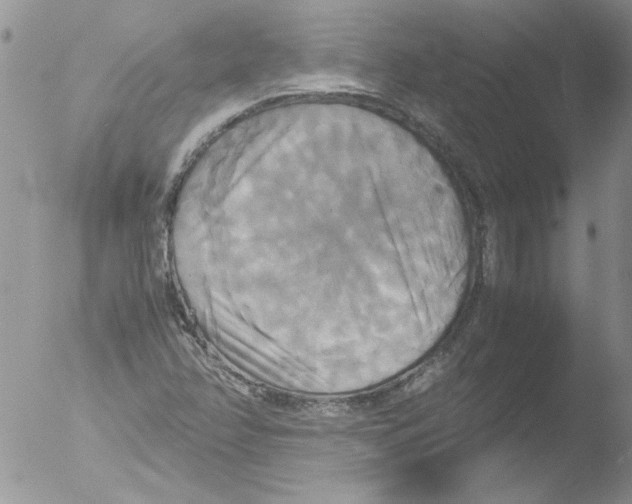 X0000051241358200507152112