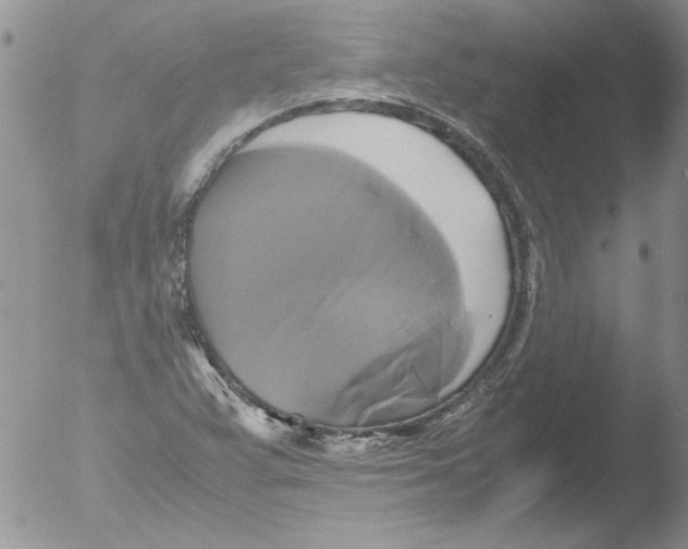 X0000051241359200507152112