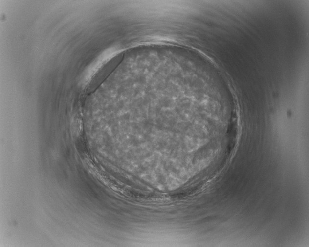 X0000051241363200507152112