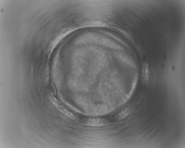 X0000051241364200507152112