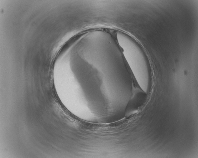 X0000051241367200507152112