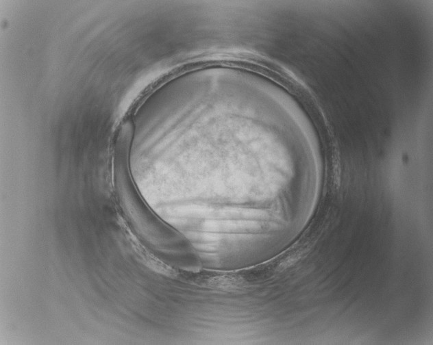 X0000051241368200507152112