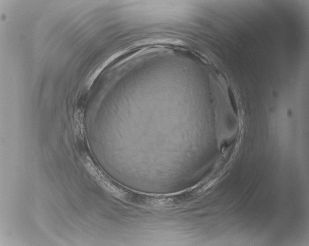 X0000051241369200507152112