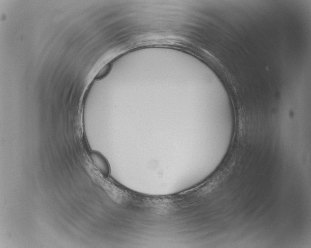 X0000051241370200507152112