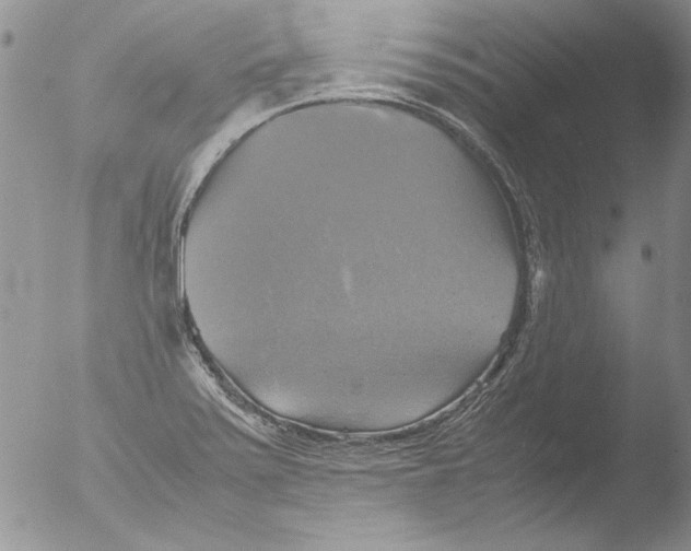 X0000051241371200507152112