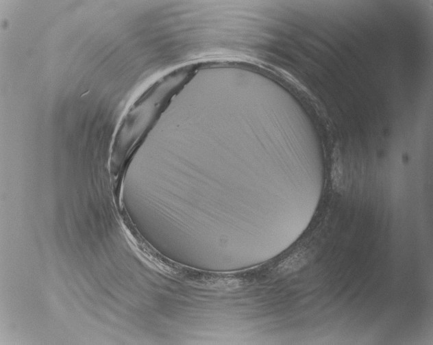 X0000051241372200507152112