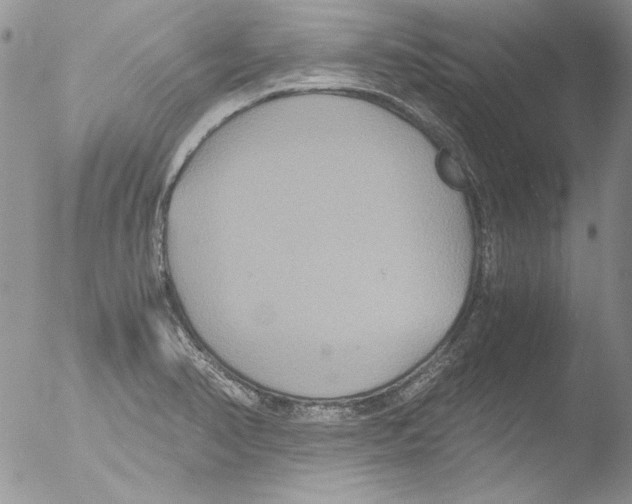 X0000051241374200507152112