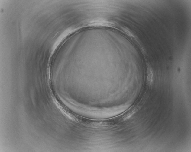 X0000051241376200507152112