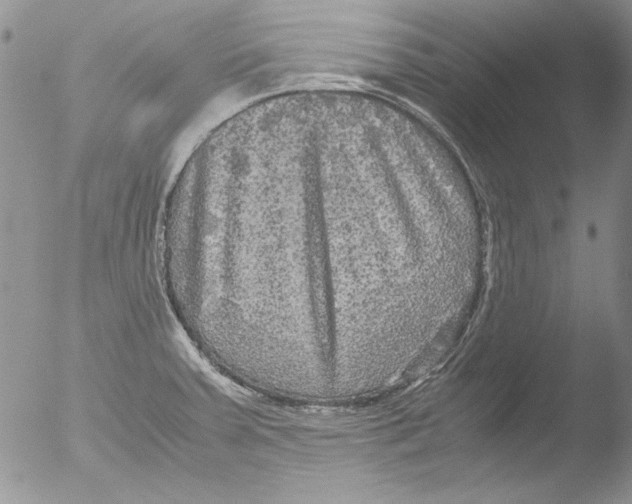 X0000051241379200507152112