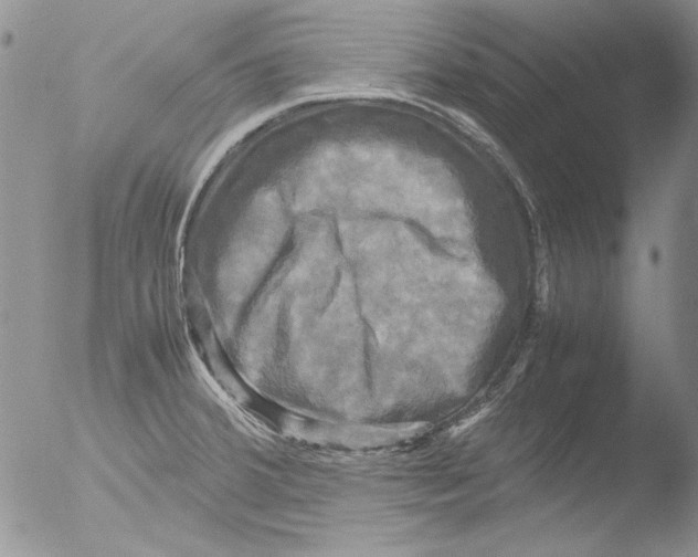 X0000051241380200507152112