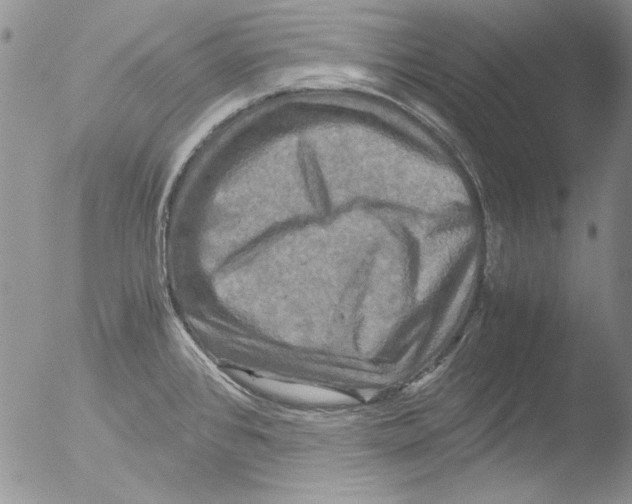 X0000051241384200507152112