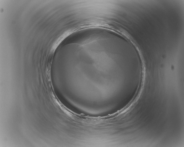 X0000051241385200507152112