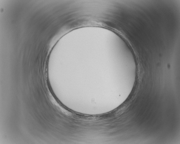 X0000051241387200507152112