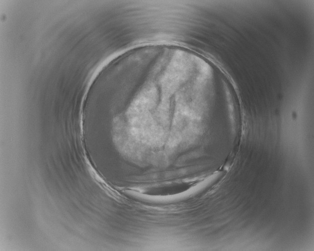 X0000051241388200507152112