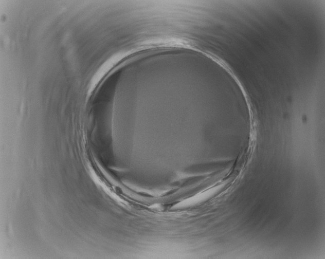 X0000051241389200507152112