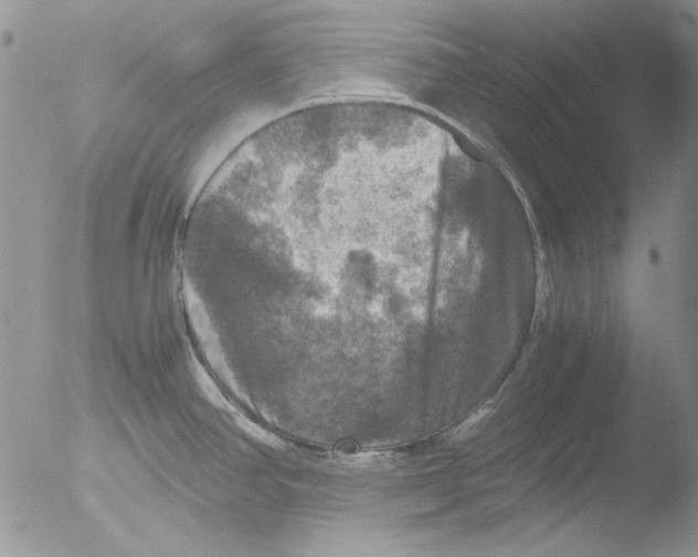 X0000051241390200507152112