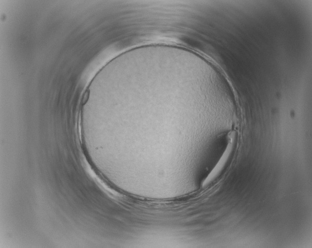 X0000051241391200507152112