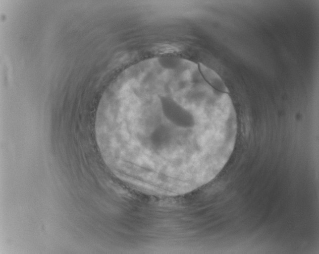 X0000051241393200507152111