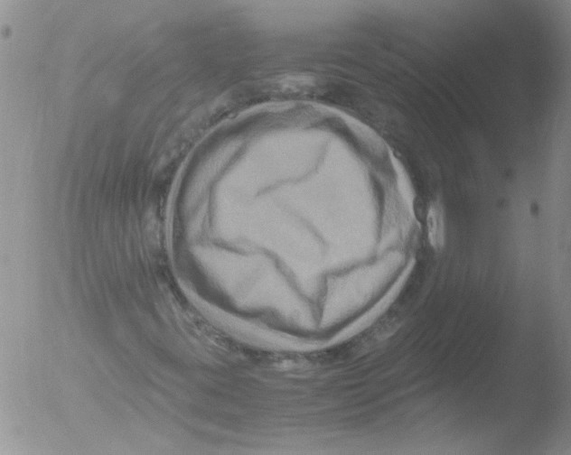 X0000051241395200507152111