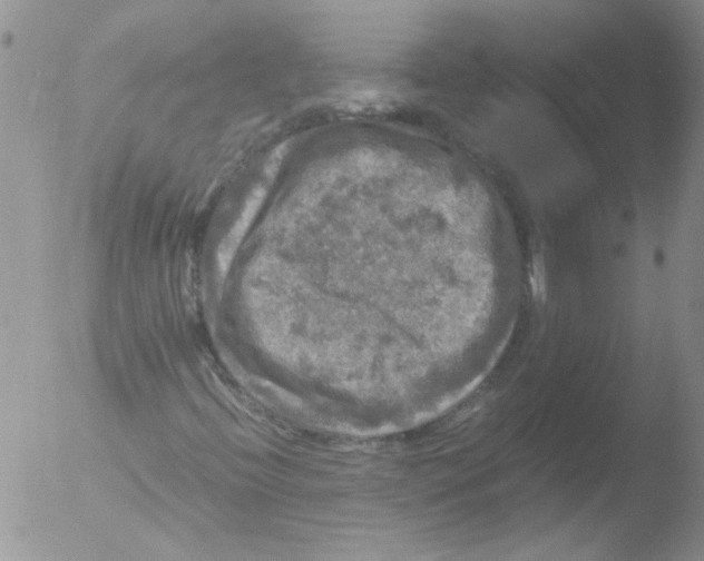 X0000051241396200507152111