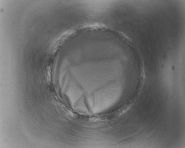 X0000051241398200507152111