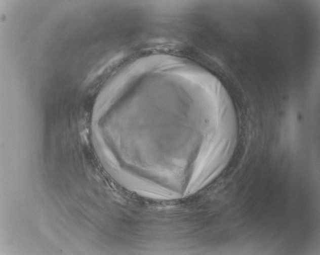 X0000051241399200507152111