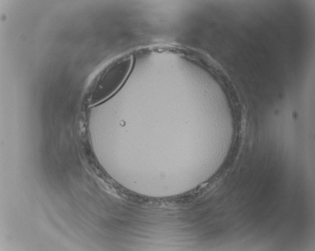 X0000051241400200507152111