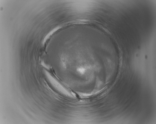 X0000051241402200507152111