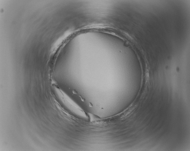 X0000051241406200507152111