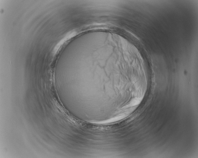 X0000051241411200507152111