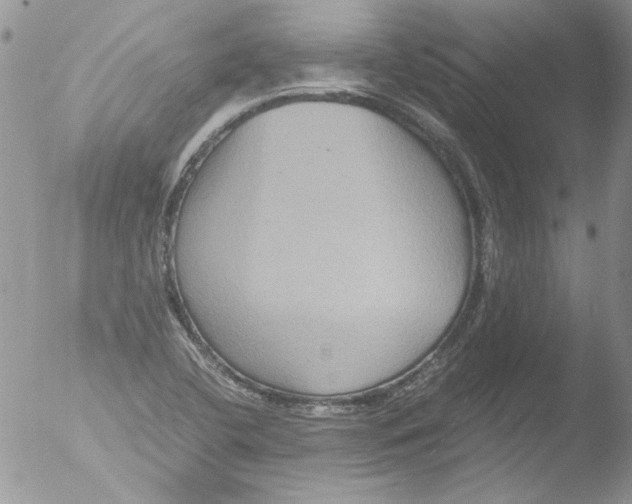 X0000051241412200507152111