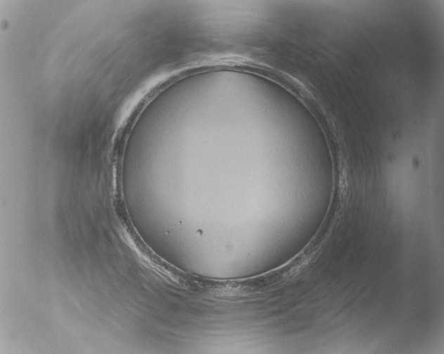 X0000051241414200507152111